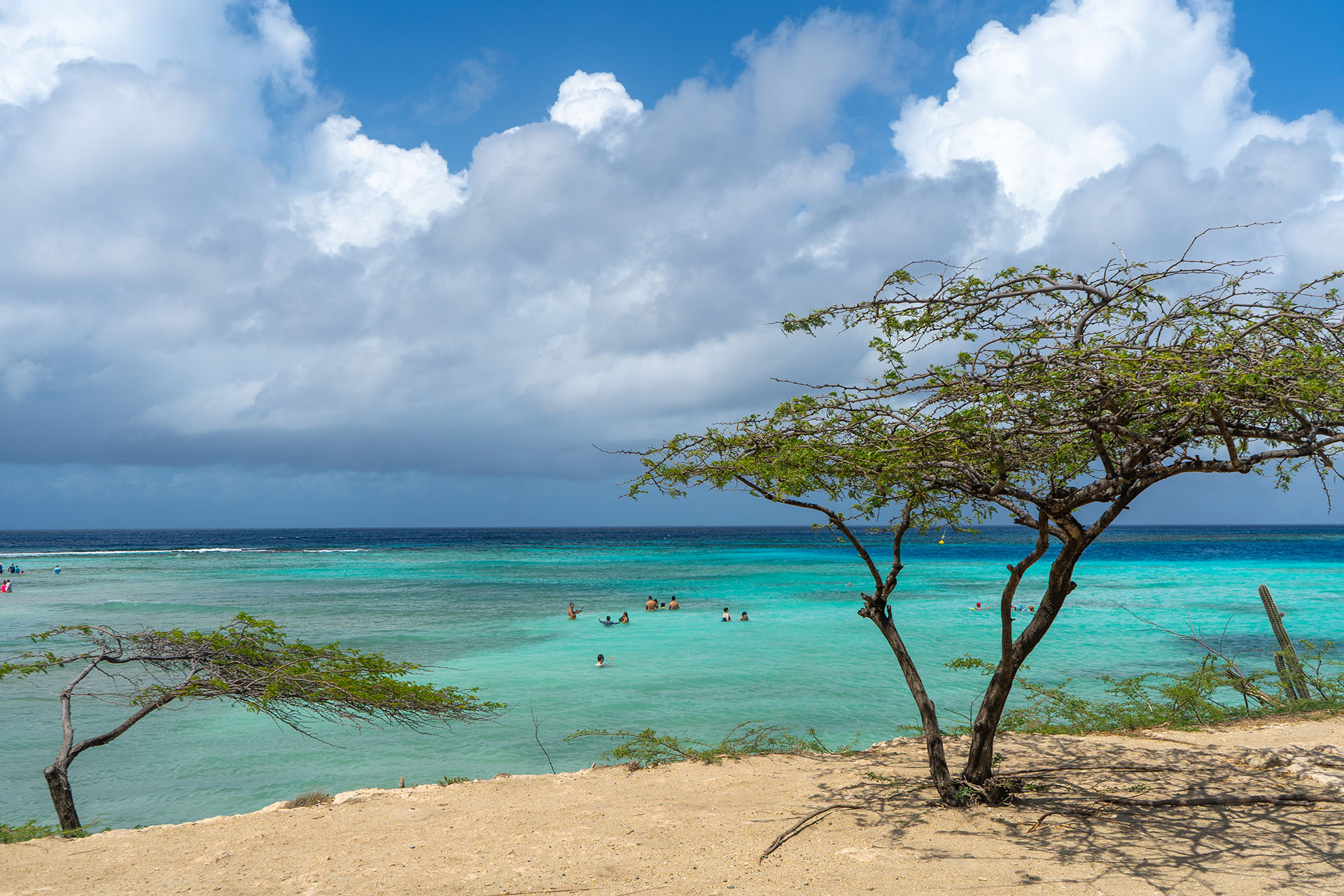 Travel Tips for Aruba, a Tropical Vacation Destination in the Caribbean