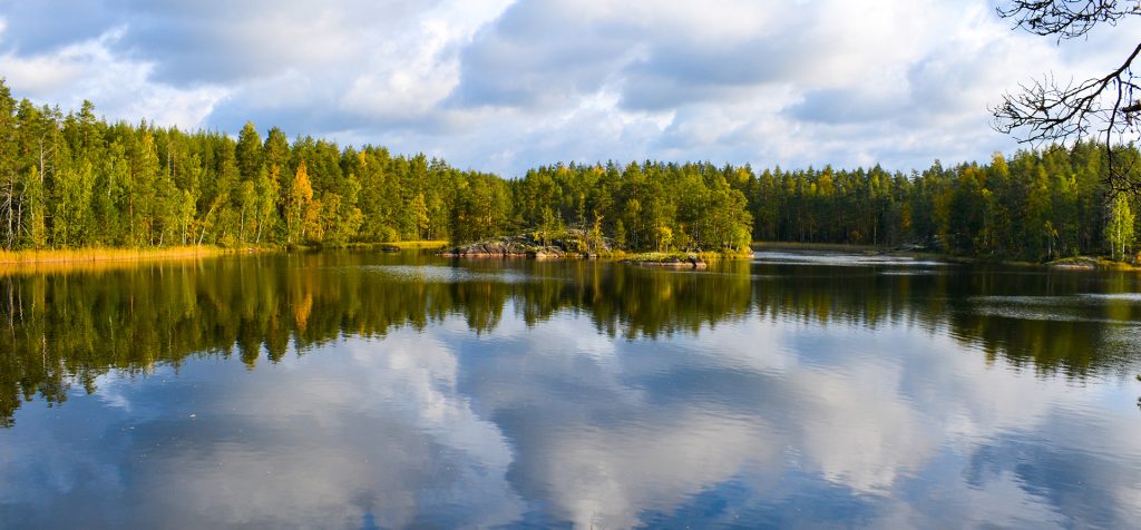 Travel Tips for Finland: Enjoy Finnish Nature in Summer and Winter Around the Lakeland Region—Top Travel Tips for Finland