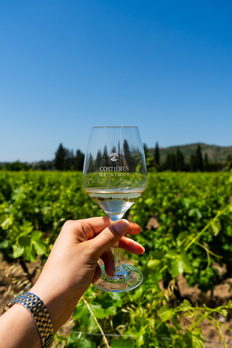 The Best Travel Tips for France: Wine Tasting in the Nîmes Region