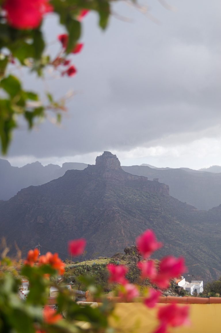 Travel Tips for Gran Canaria: Artenera