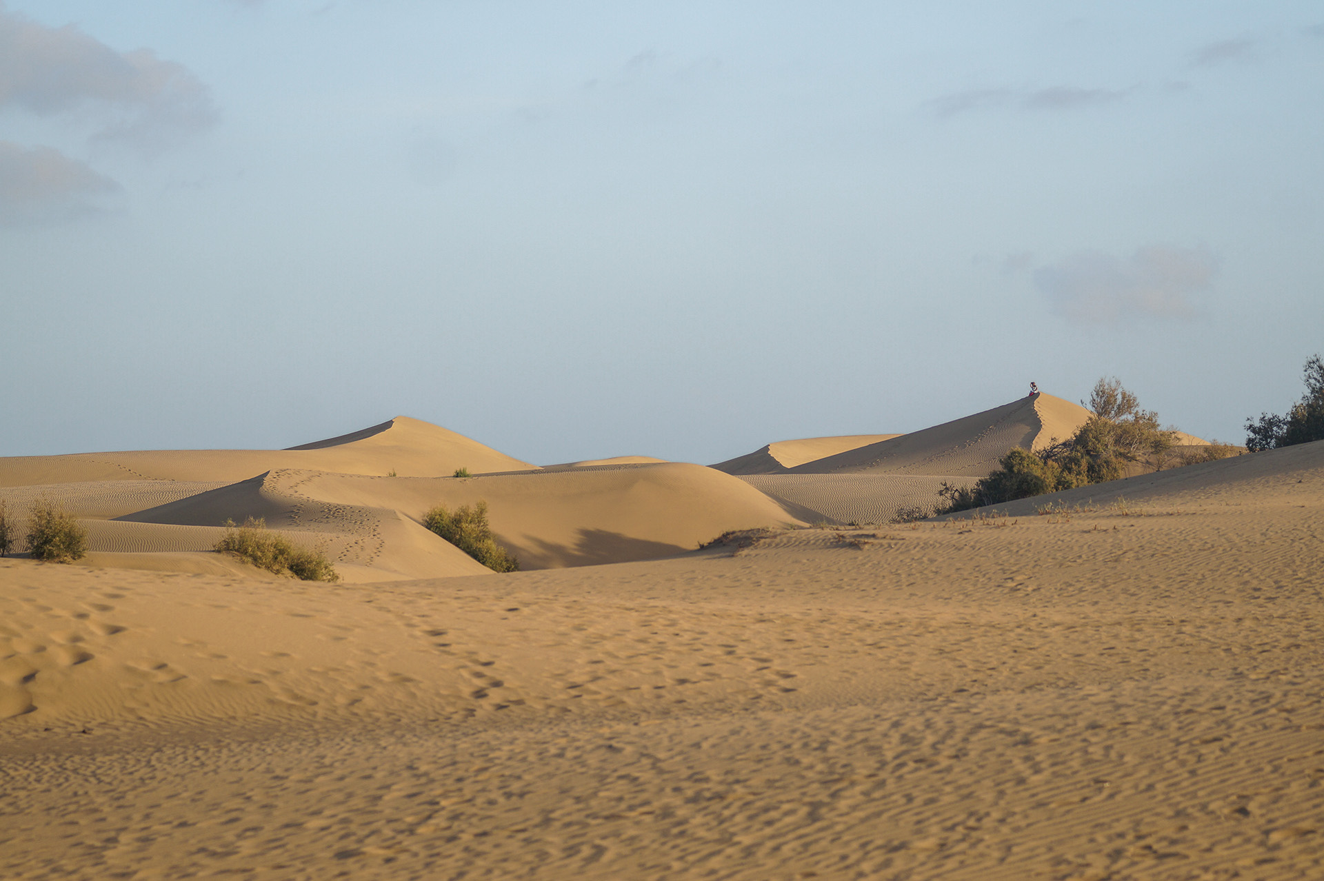 View of the Maspalomas Dunes: The Best Travel Tips for Gran Canaria
