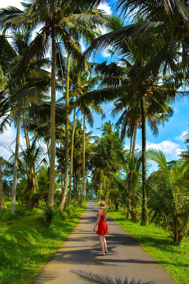 Travel Tips for Indonesia: Discover the Island of Bali