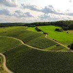 Travel Tips for Luxembourg: A Visit to the Moselle Region, a Wine Region in Luxembourg