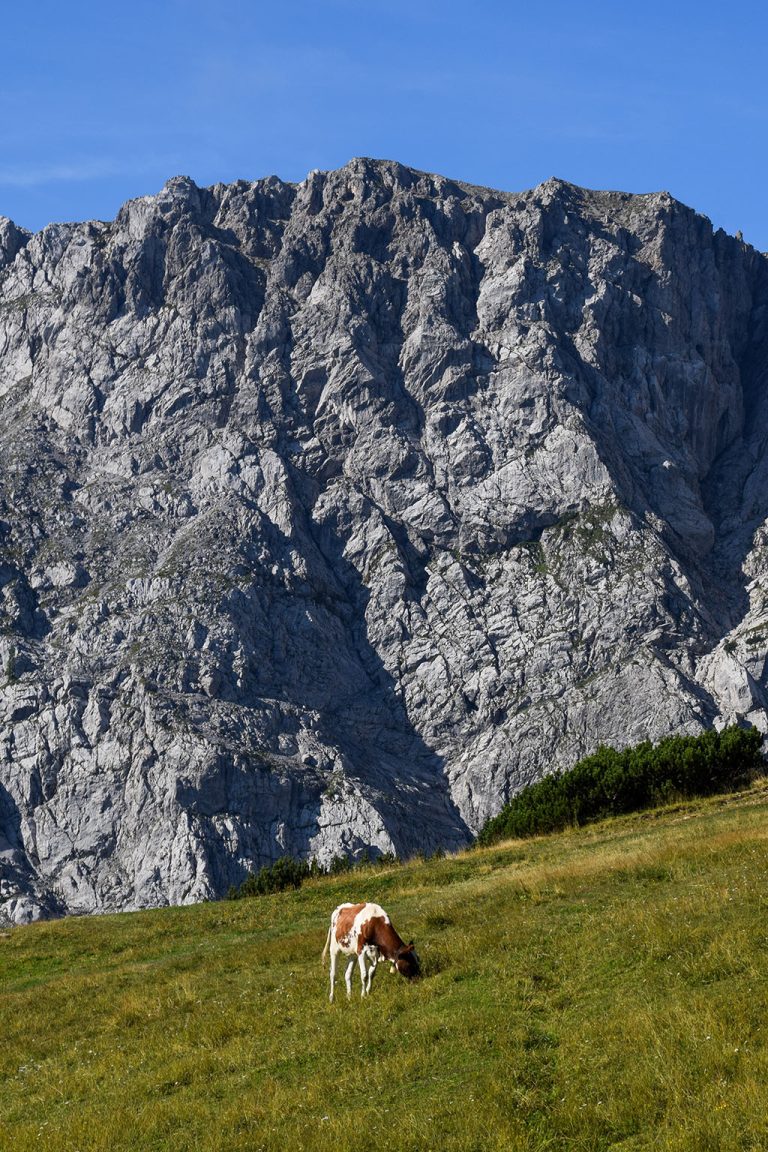 Travel Tips for Austria: Summer in the Mountains