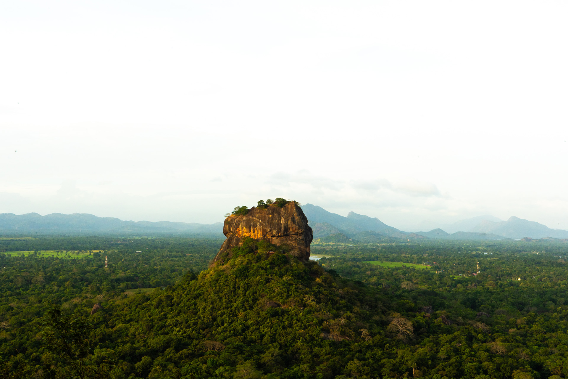 Stunning views of the iconic Lion Rock in Sigiriya, part of our travel tips for Sri Lanka by Travander.