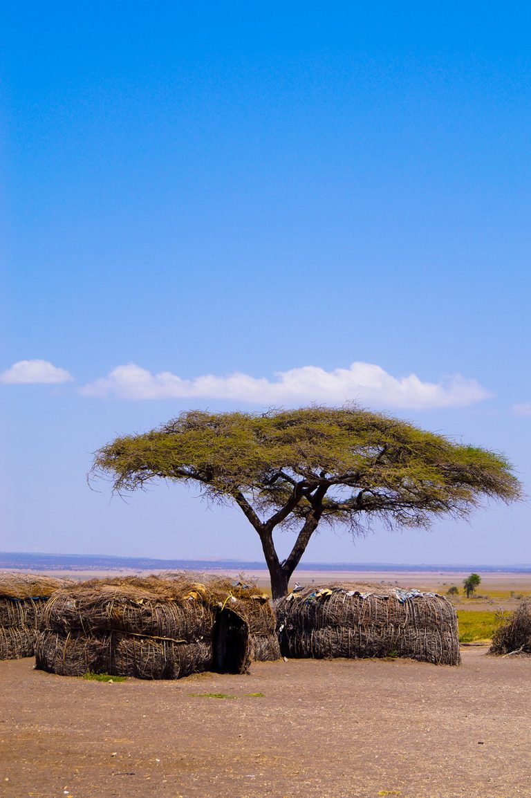 Travel Tips for Tanzania and the Masai Mara