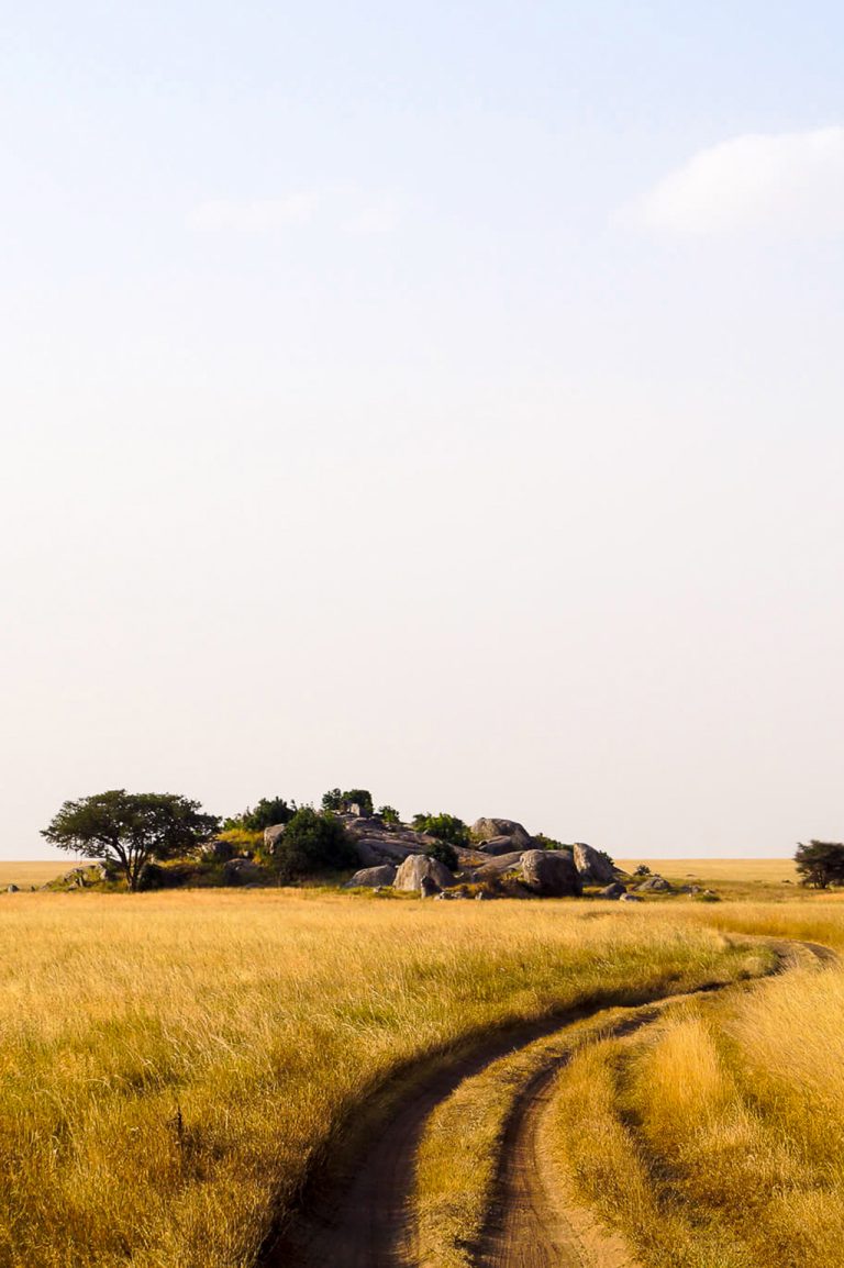 Travel Tips for a Tanzania Safari in the Serengeti