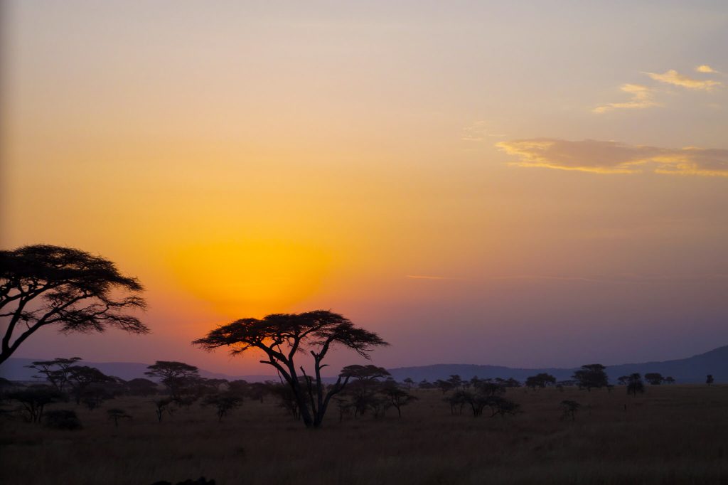 Sunrise in the Serengeti in Tanzania during a safari—the best travel tips for Tanzania from Travander.