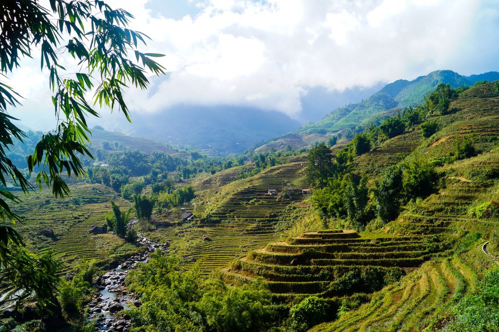 View of the rice paddies in Sapa, Vietnam; the best travel tips for Vietnam