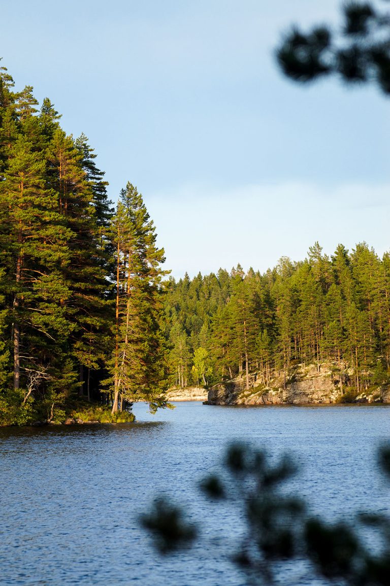 Travel Tips for Sweden: Klaskogen Nature Reserve