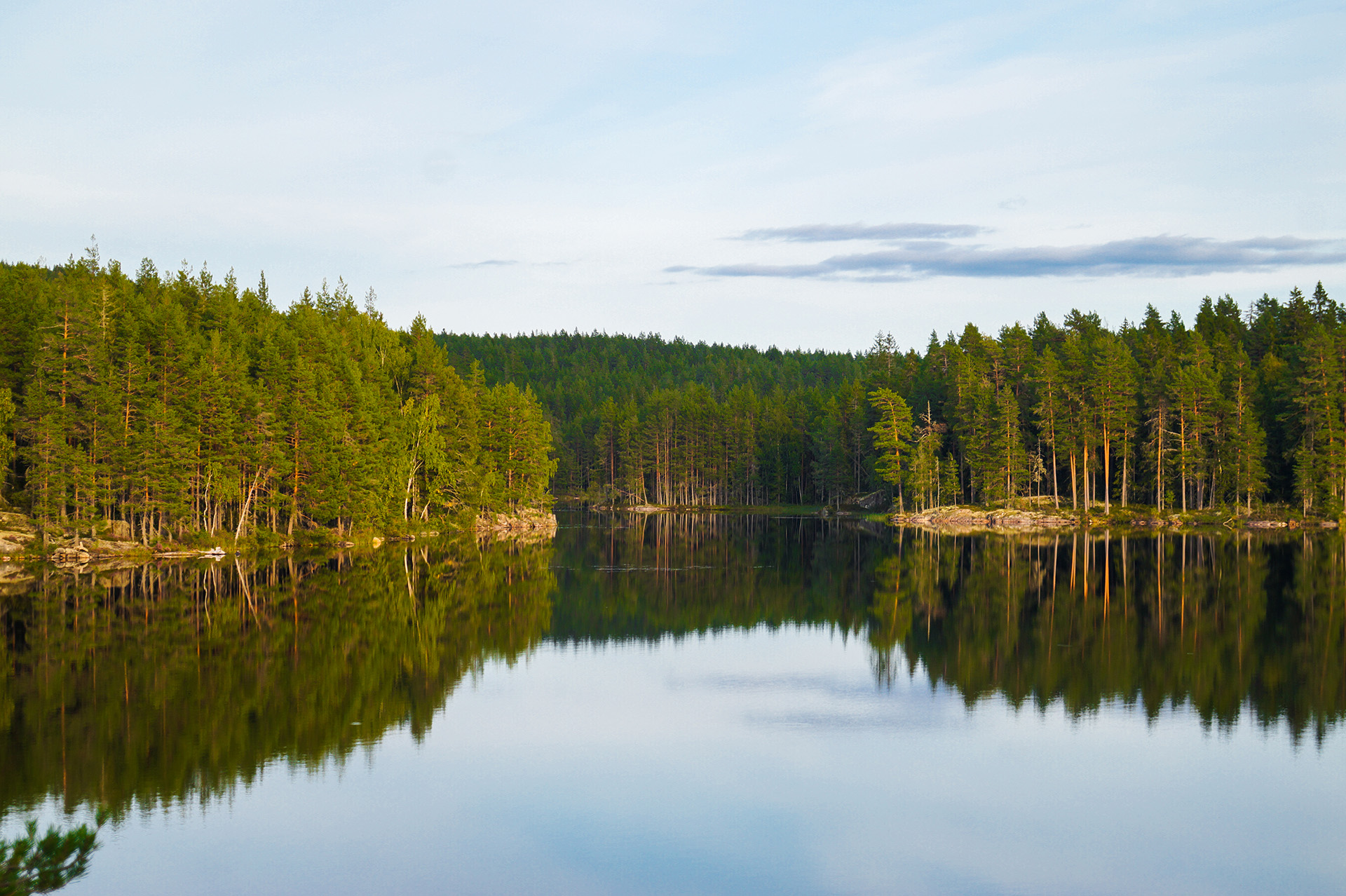 The Glaskogen Nature Reserve: The Best Travel Tips for Sweden