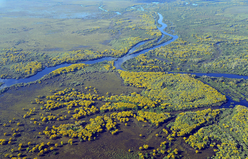 Brazil Pantanal Tour