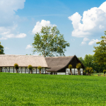 A tour of Poland that takes you through the countryside, where you'll discover a completely different side of the country