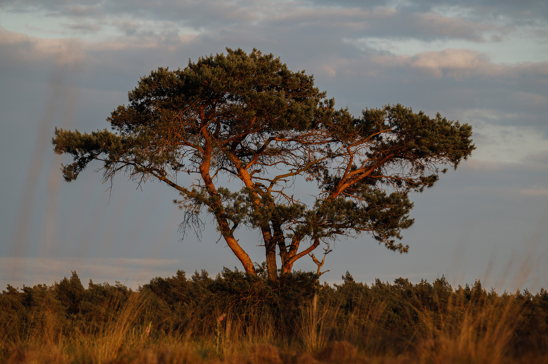 Tips, Veluwe Hiking Trails, Points of Interest