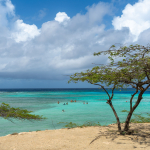 Sun Vacation in Aruba at Mangel Halto Beach