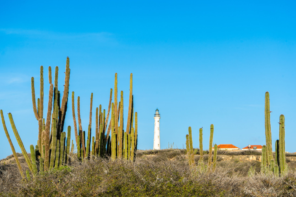 Sun Vacation in Aruba: North Coast, California Lighthouse