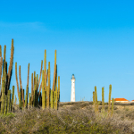 Sun Vacation in Aruba: North Coast, California Lighthouse