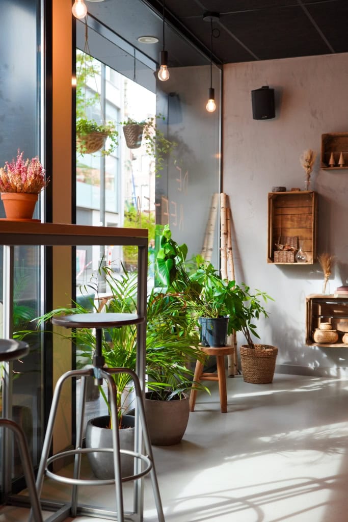 De Refter Hasselt Koffiebar