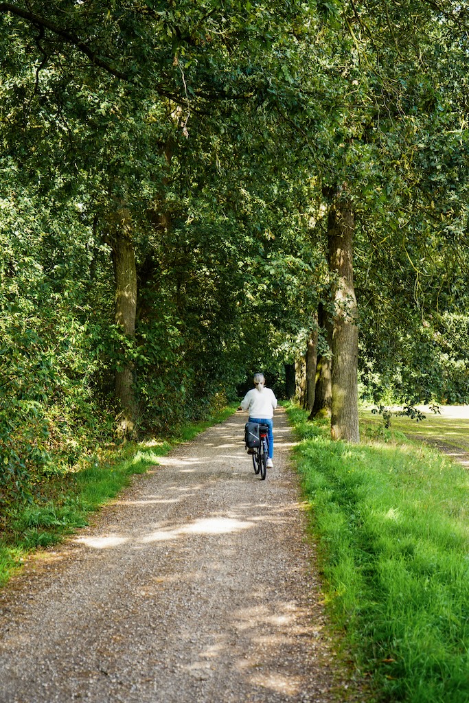 E Bike Hasselt Leuke Dingen Om Te Doen