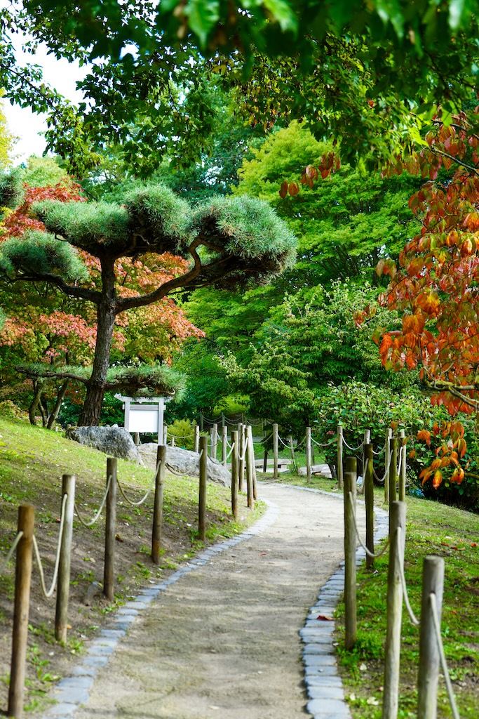 Japanse Tuin Hasselt Herfstkleuren